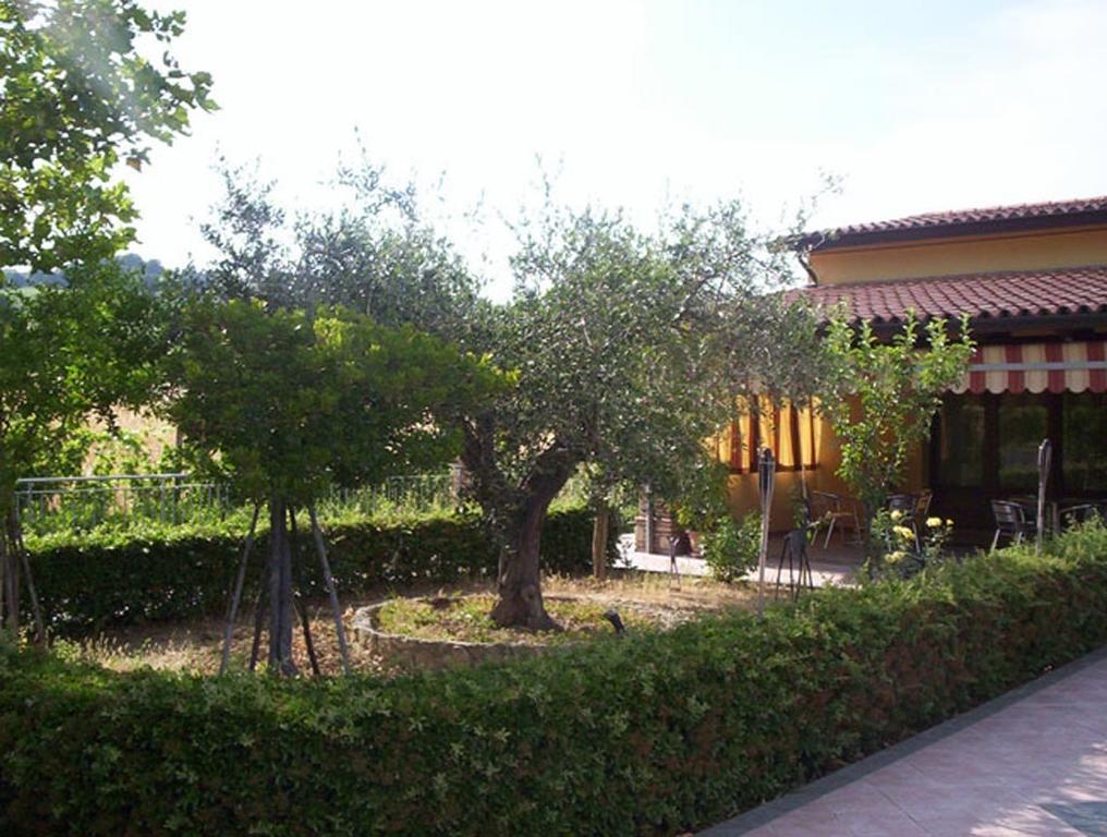 Agriturismo 7 Colonne Villa Bertinoro Exterior photo